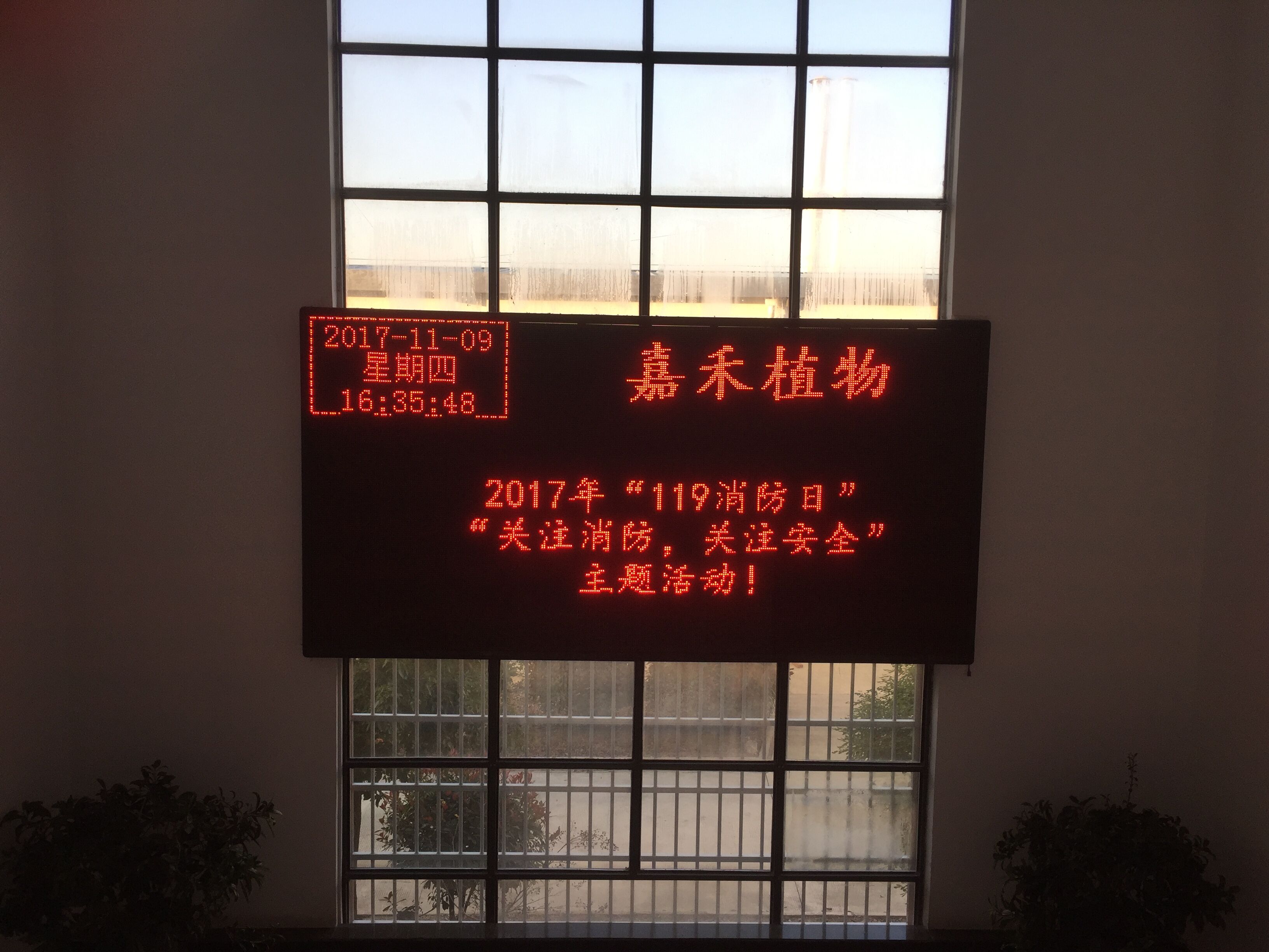 定远嘉禾公司开展“119”安全教育警示活动